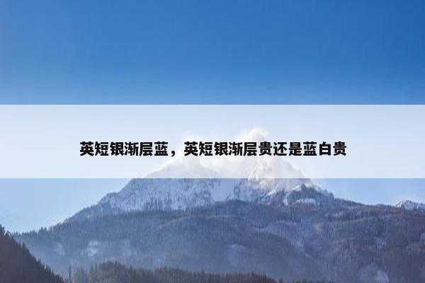 英短银渐层蓝,英短银渐层贵还是蓝白贵
