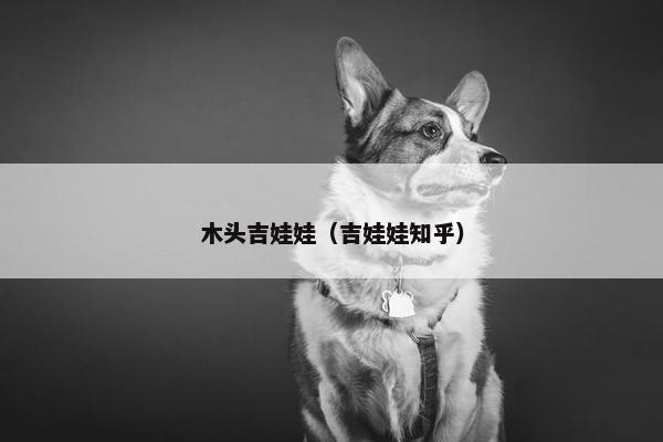 木头吉娃娃（吉娃娃知乎）