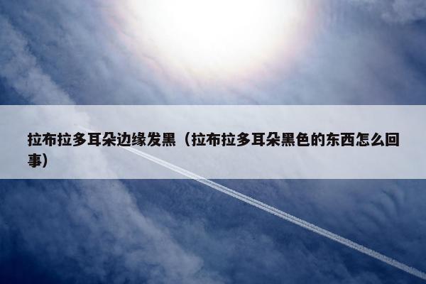 拉布拉多耳朵边缘发黑（拉布拉多耳朵黑色的东西怎么回事）
