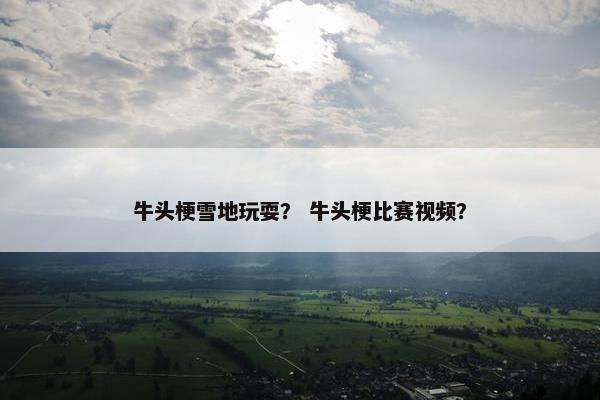 牛头梗雪地玩耍? 牛头梗比赛视频?