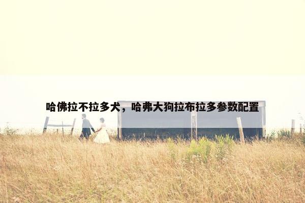 哈佛拉不拉多犬，哈弗大狗拉布拉多参数配置