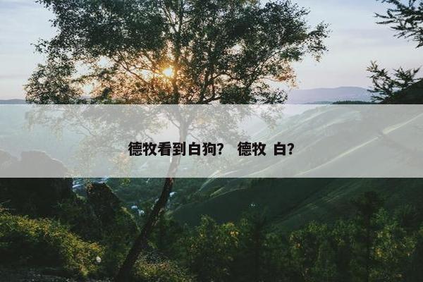 德牧看到白狗？ 德牧 白？