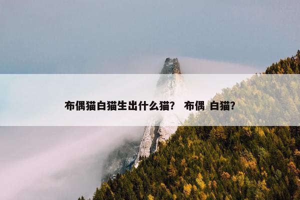 布偶猫白猫生出什么猫？ 布偶 白猫？