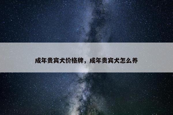 成年贵宾犬价格牌，成年贵宾犬怎么养