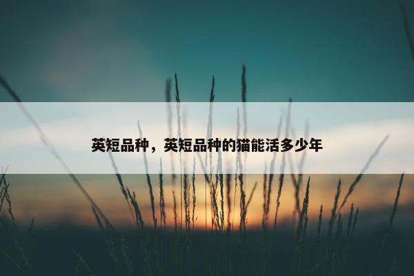 英短品种，英短品种的猫能活多少年