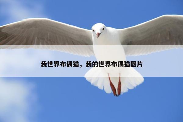 我世界布偶猫，我的世界布偶猫图片