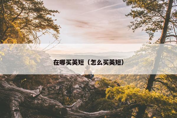 在哪买英短（怎么买英短）