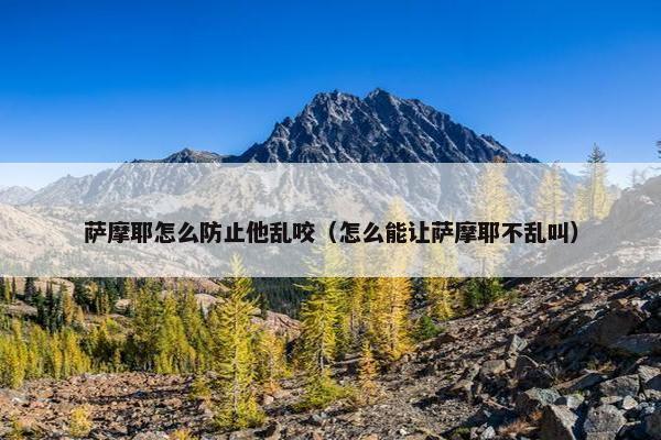 萨摩耶怎么防止他乱咬（怎么能让萨摩耶不乱叫）