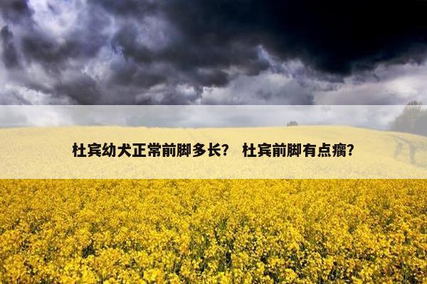 杜宾幼犬正常前脚多长？ 杜宾前脚有点瘸？