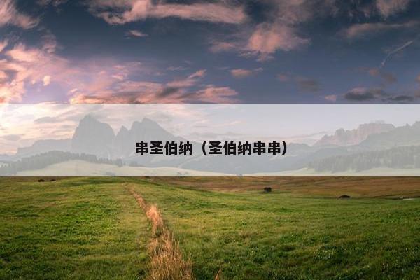 串圣伯纳（圣伯纳串串）