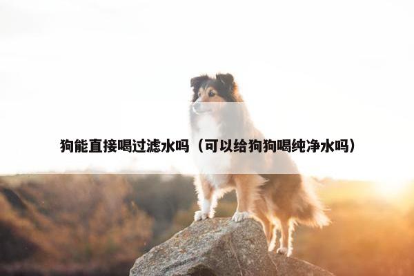 饮用