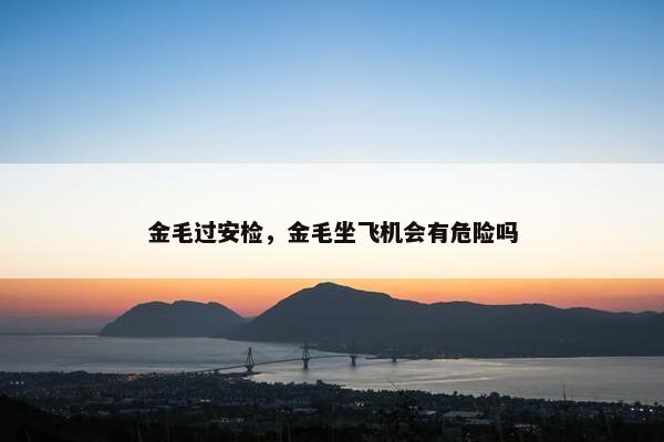 金毛过安检，金毛坐飞机会有危险吗
