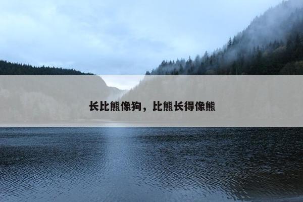 长比熊像狗，比熊长得像熊