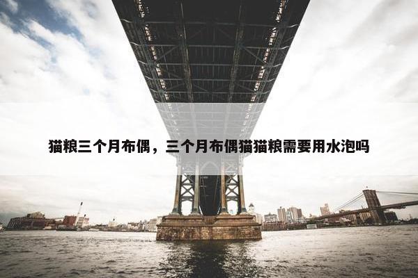 猫粮三个月布偶，三个月布偶猫猫粮需要用水泡吗