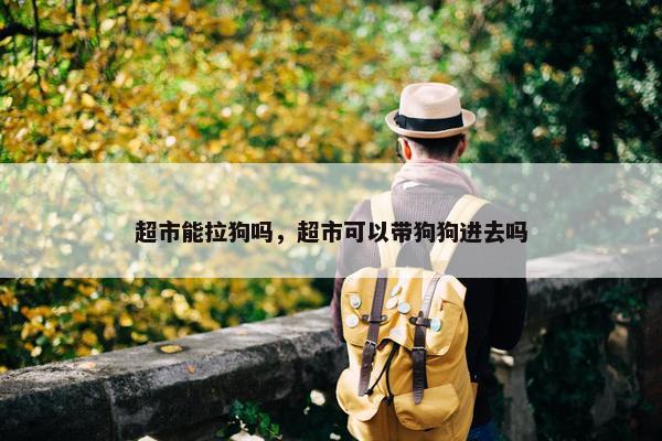 超市能拉狗吗，超市可以带狗狗进去吗