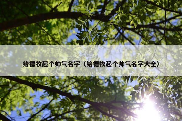 给德牧起个帅气名字(给德牧起个帅气名字大全)