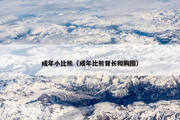 成年小比熊（成年比熊背长和胸围）