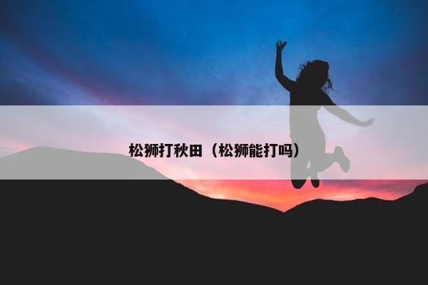 松狮打秋田（松狮能打吗）