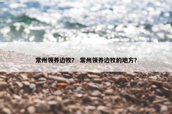 常州领养边牧? 常州领养边牧的地方?