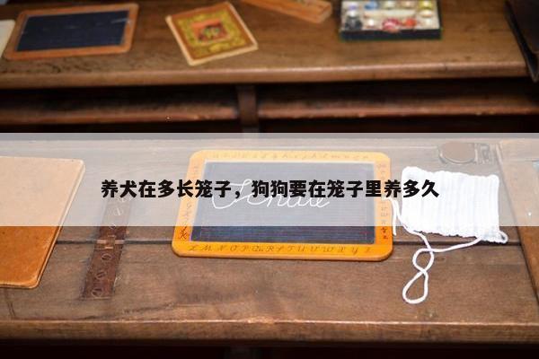 养犬在多长笼子,狗狗要在笼子里养多久