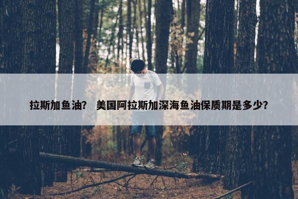 图纸