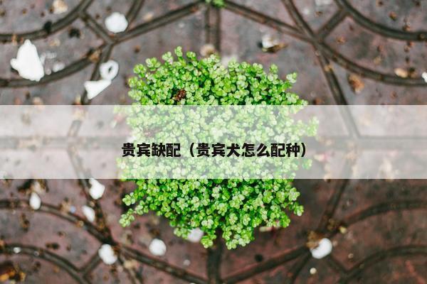 色系
