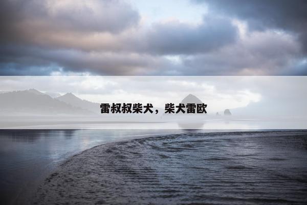 雷叔叔柴犬，柴犬雷欧