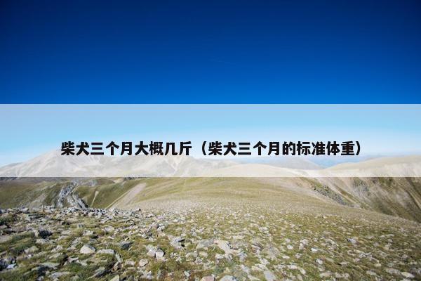千克