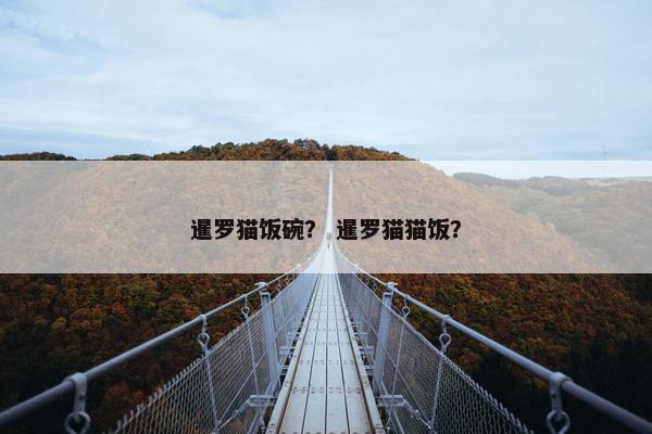 暹罗猫饭碗？ 暹罗猫猫饭？