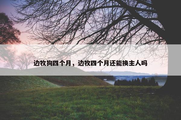 边牧狗四个月，边牧四个月还能换主人吗