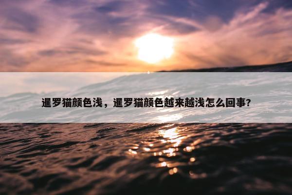 暹罗猫颜色浅,暹罗猫颜色越来越浅怎么回事?