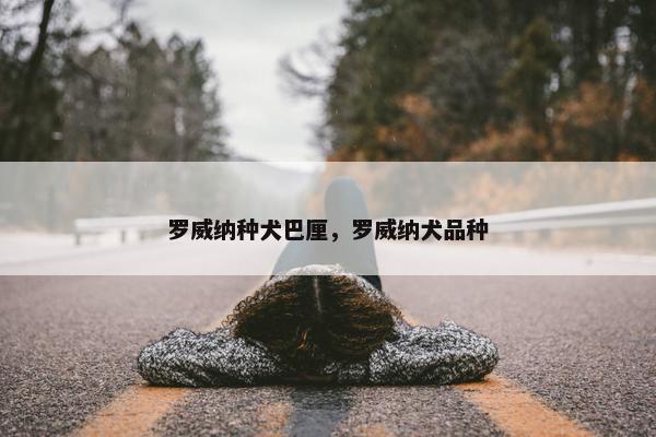 罗威纳种犬巴厘，罗威纳犬品种
