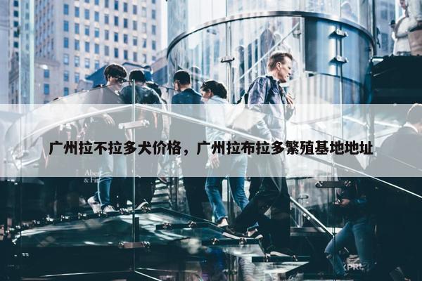 广州拉不拉多犬价格，广州拉布拉多繁殖基地地址