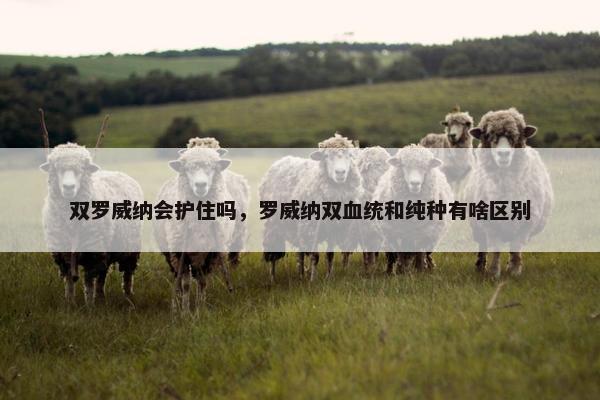 近亲繁殖