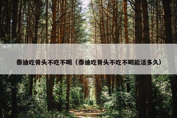 泰迪吃骨头不吃不喝(泰迪吃骨头不吃不喝能活多久)