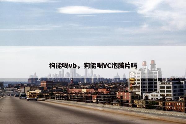 狗能喝vb，狗能喝VC泡腾片吗
