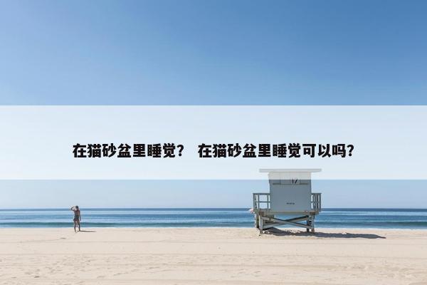 在猫砂盆里睡觉？ 在猫砂盆里睡觉可以吗？