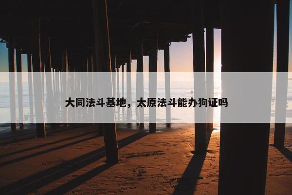 法斗 第6页