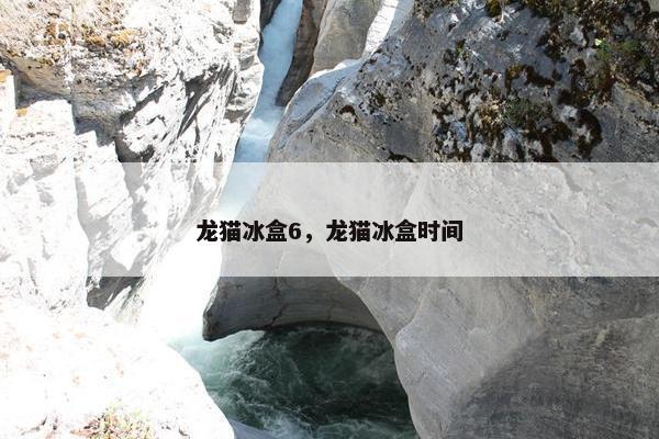 龙猫冰盒6，龙猫冰盒时间