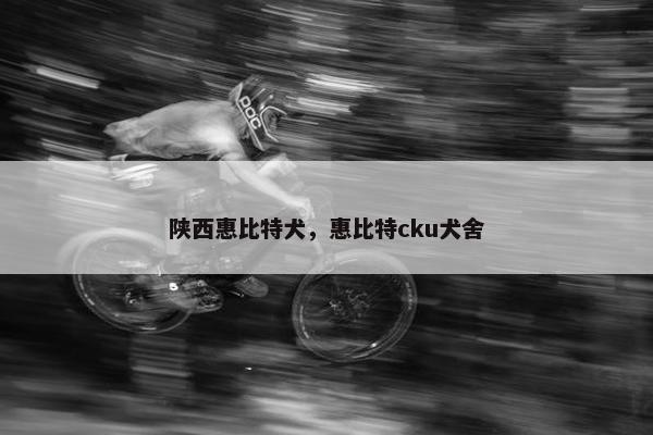 陕西