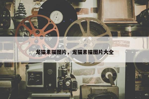 龙猫素描图片，龙猫素描图片大全