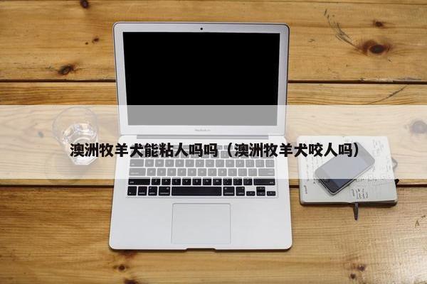 澳洲牧羊犬能粘人吗吗（澳洲牧羊犬咬人吗）