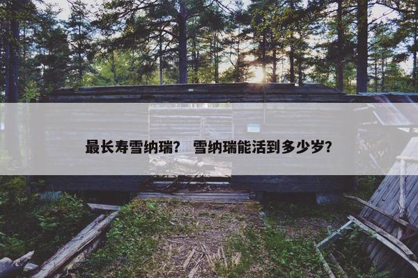 最长寿雪纳瑞? 雪纳瑞能活到多少岁?