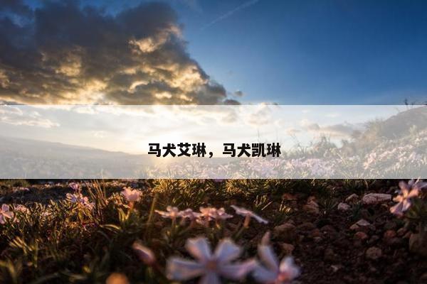 马犬艾琳，马犬凯琳