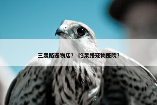三泉路宠物店？ 临泉路宠物医院？