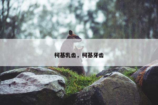 柯基乳齿，柯基牙齿