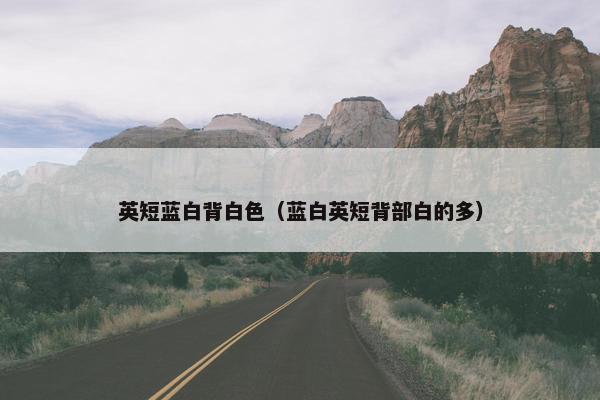 英短蓝白背白色(蓝白英短背部白的多)