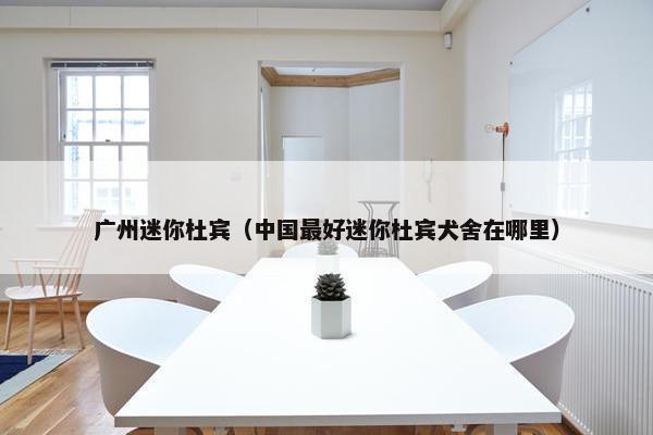 广州迷你杜宾（中国最好迷你杜宾犬舍在哪里）