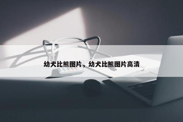 幼犬比熊图片，幼犬比熊图片高清