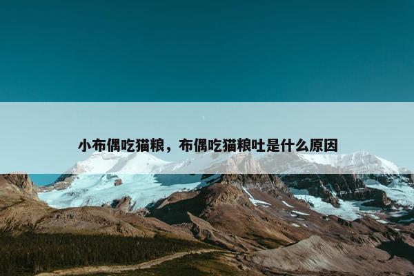 小布偶吃猫粮，布偶吃猫粮吐是什么原因